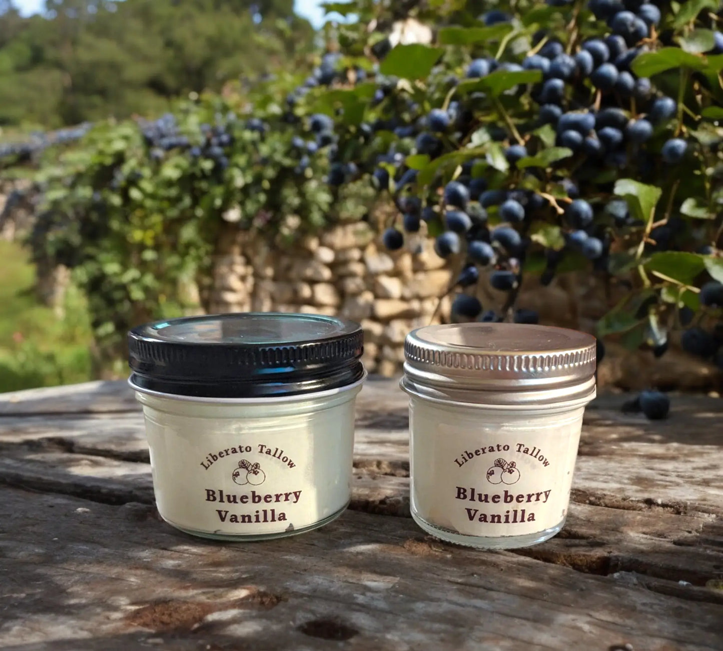 Blueberry Vanilla Whipped Tallow Lotion Liberato Tallow